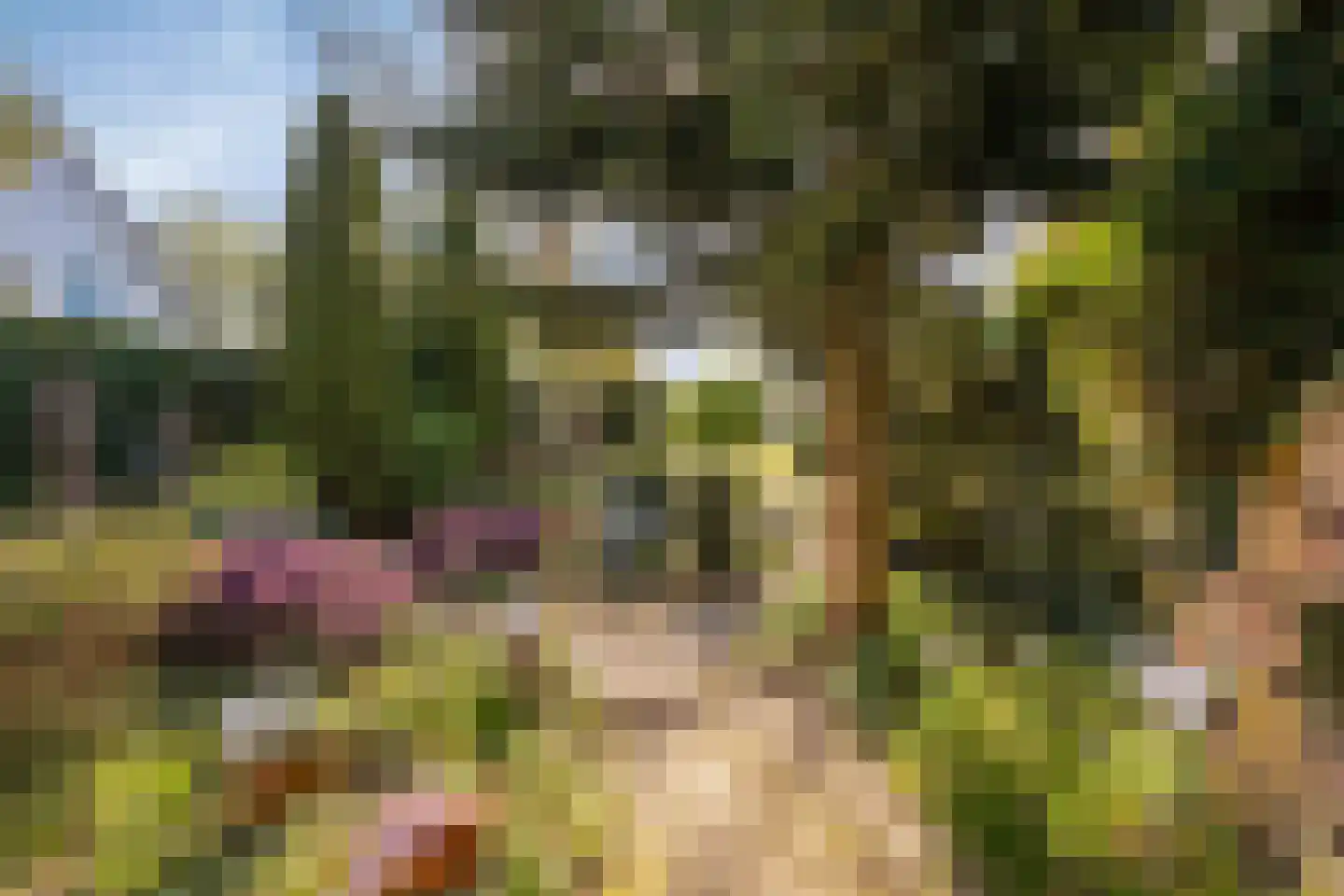 Bovenweg 16 Schoorl thumbnail 25