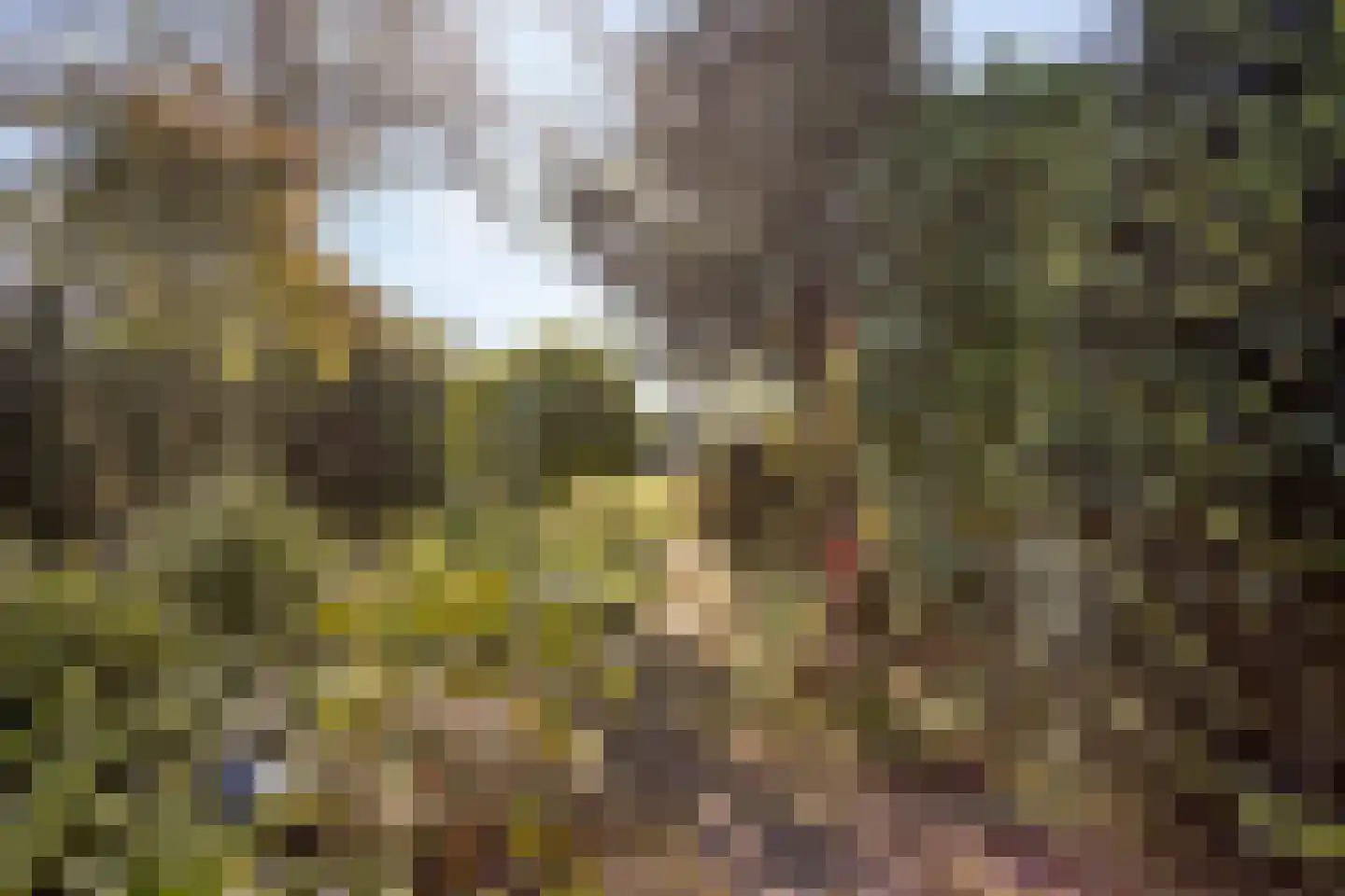 Bovenweg 16 Schoorl thumbnail 26