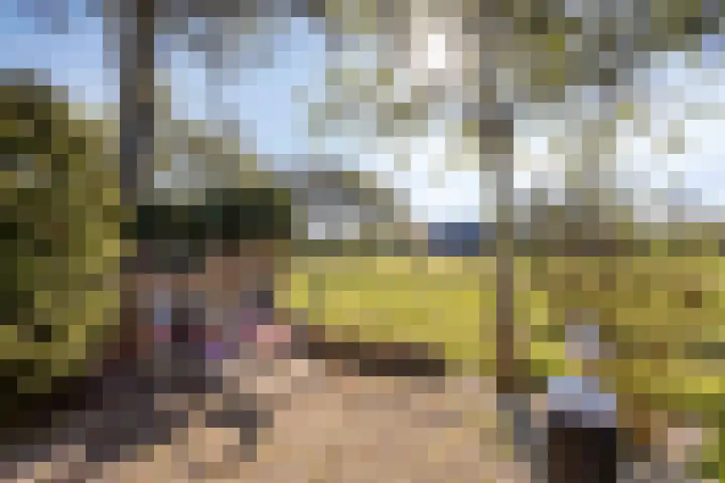 Bovenweg 16 Schoorl thumbnail 27