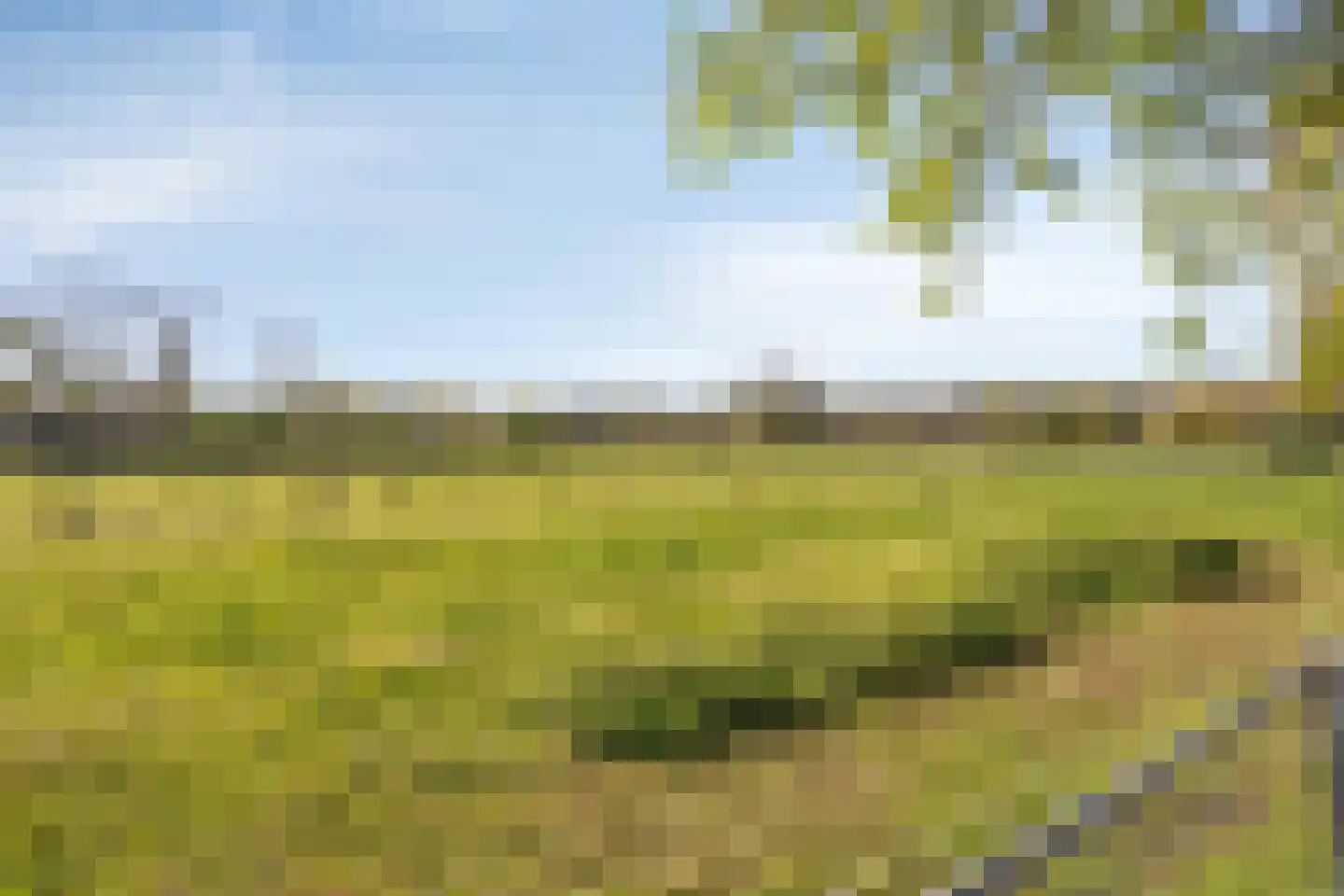 Bovenweg 16 Schoorl thumbnail 28