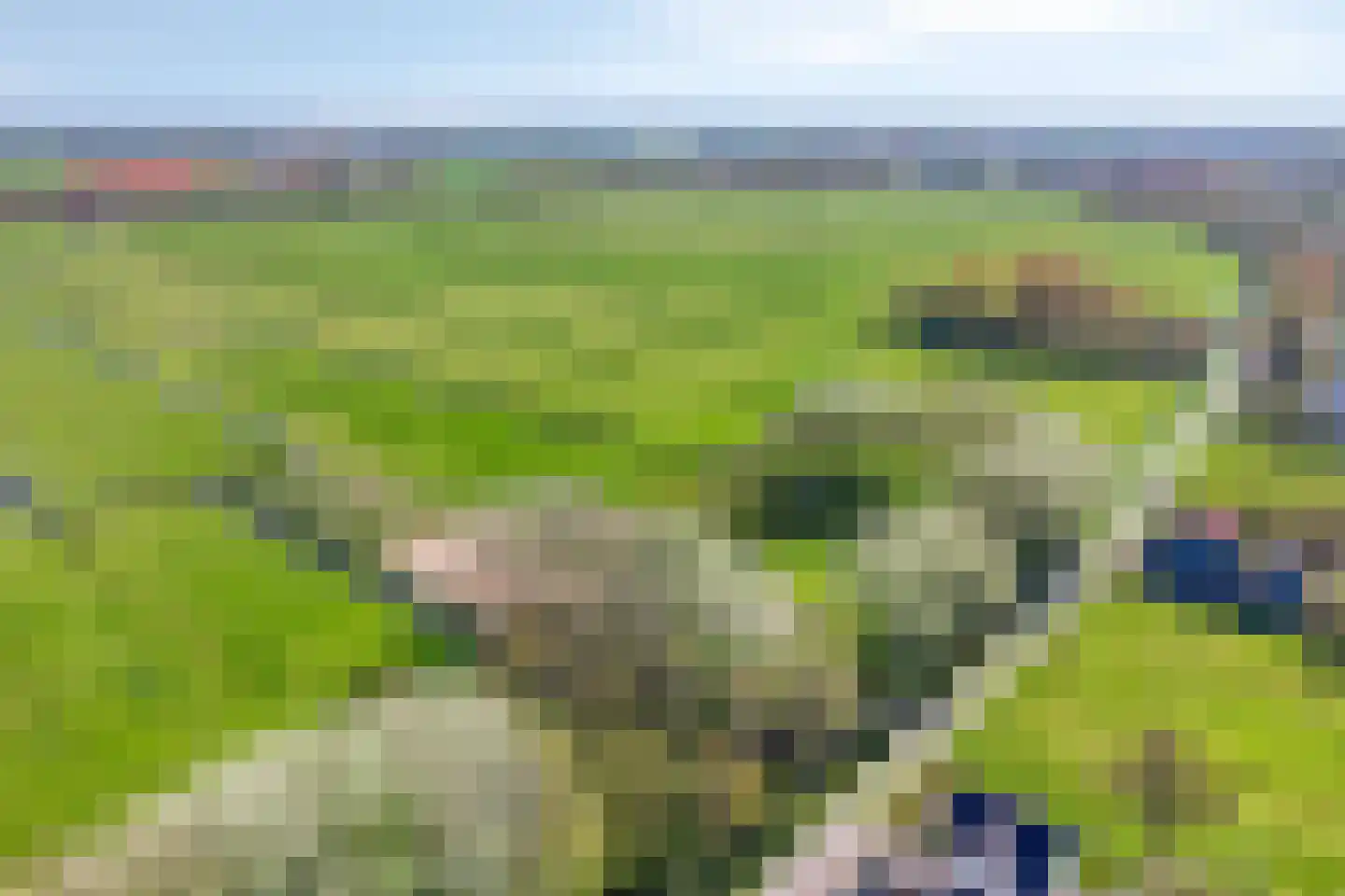 Bovenweg 16 Schoorl thumbnail 30