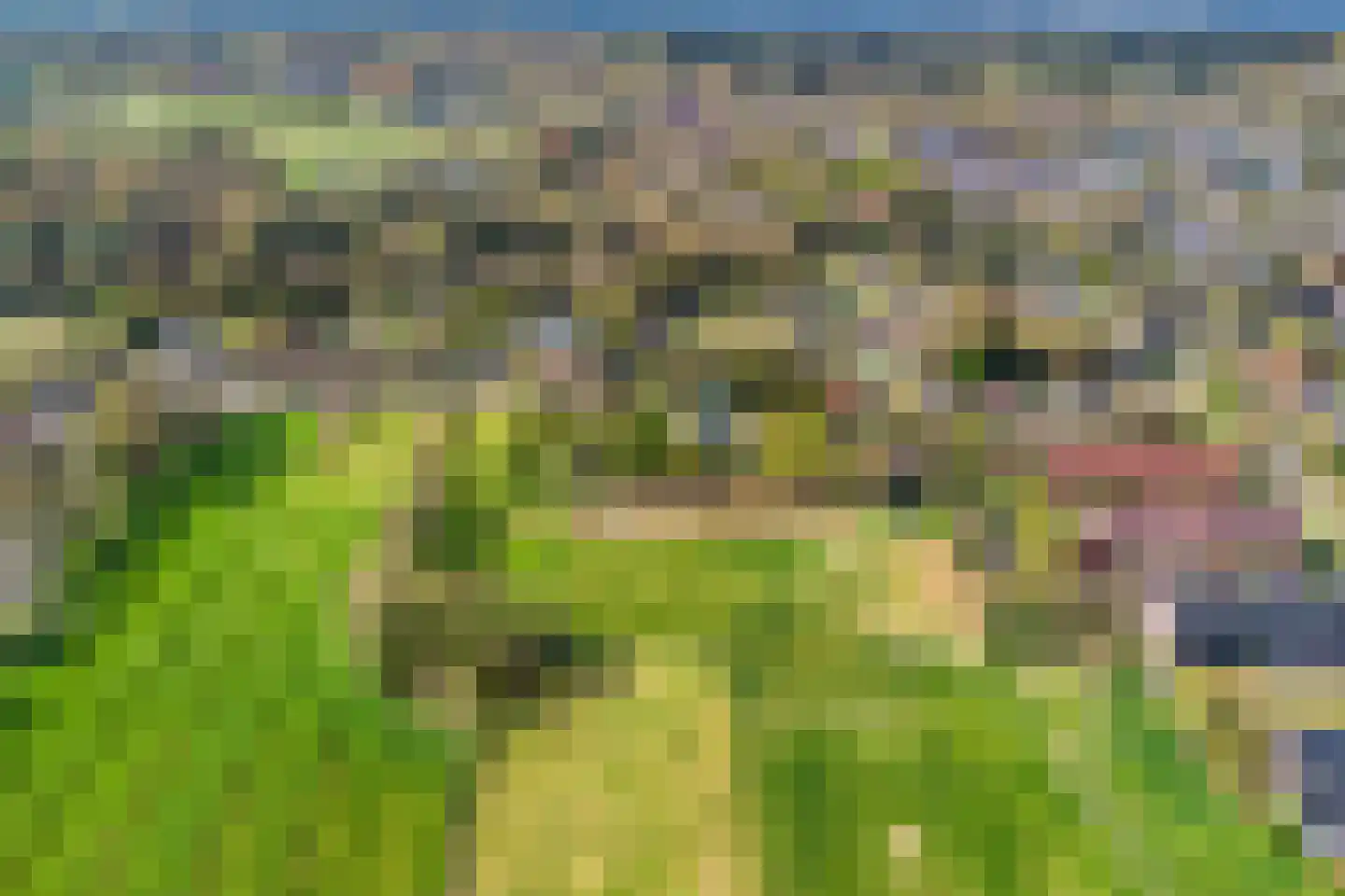 Bovenweg 16 Schoorl thumbnail 31