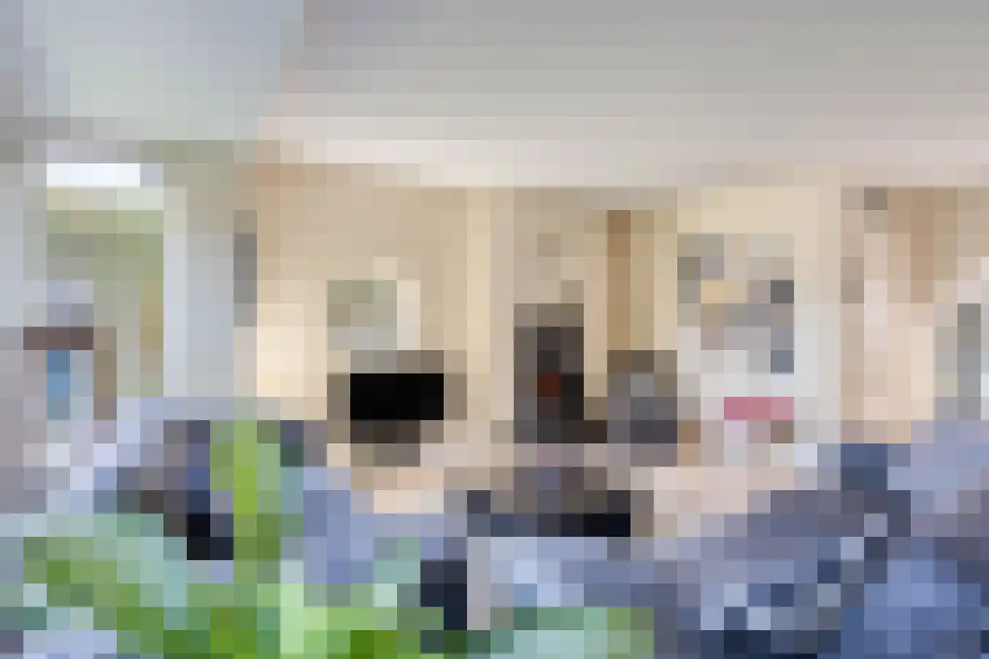 Bovenweg 16 Schoorl thumbnail 5