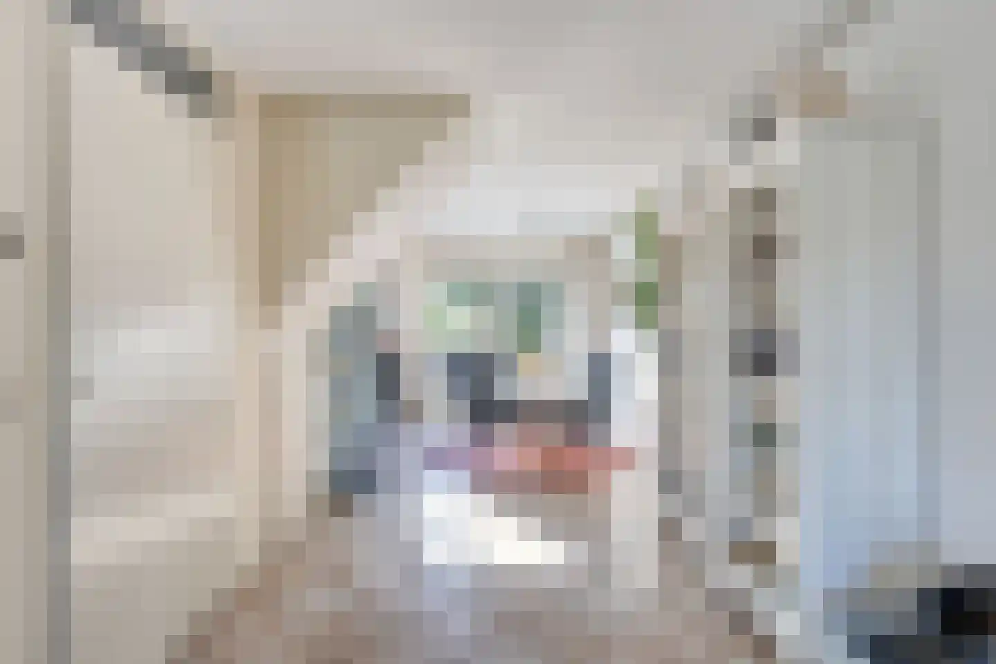 Bovenweg 16 Schoorl thumbnail 8