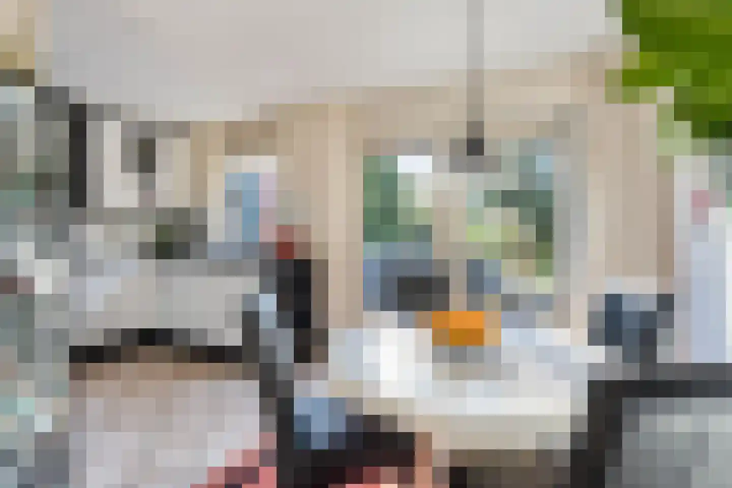 Bovenweg 16 Schoorl thumbnail 9