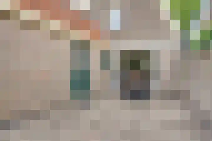 Bovenweg 16 Sint Pancras thumbnail 33