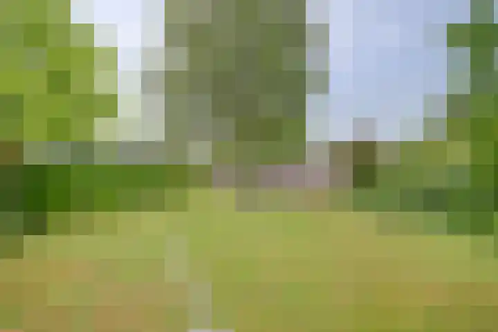Bovenweg 16 Sint Pancras thumbnail 36
