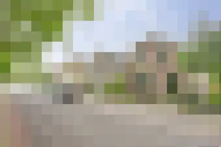 Bovenweg 16 Sint Pancras thumbnail 41