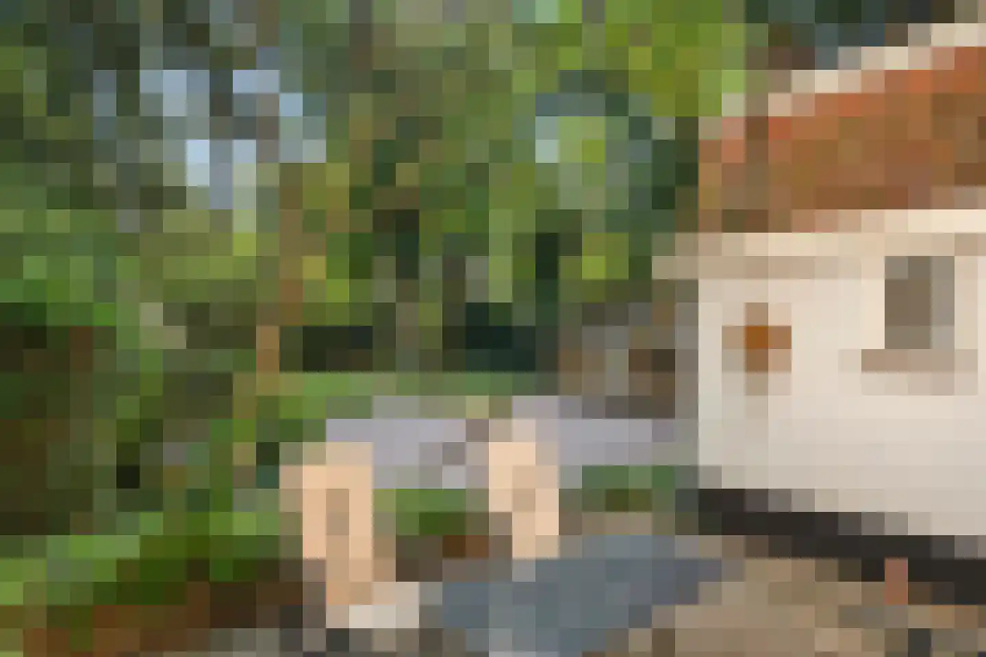 Bovenweg 17 Bennekom thumbnail 40