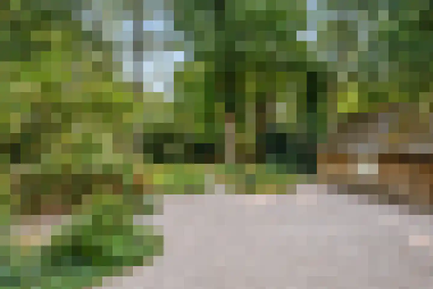 Bovenweg 17 Bennekom thumbnail 41