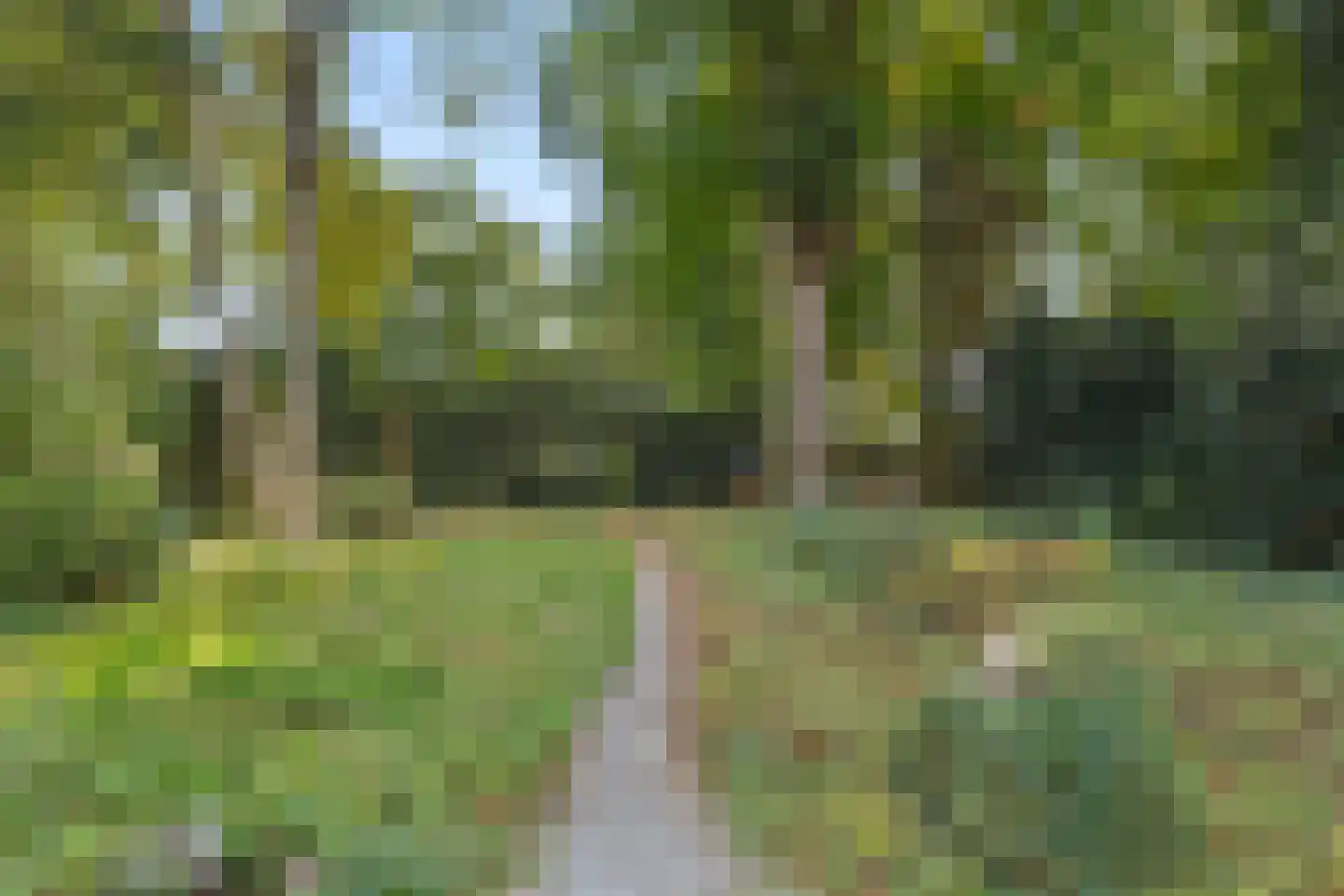 Bovenweg 17 Bennekom thumbnail 42