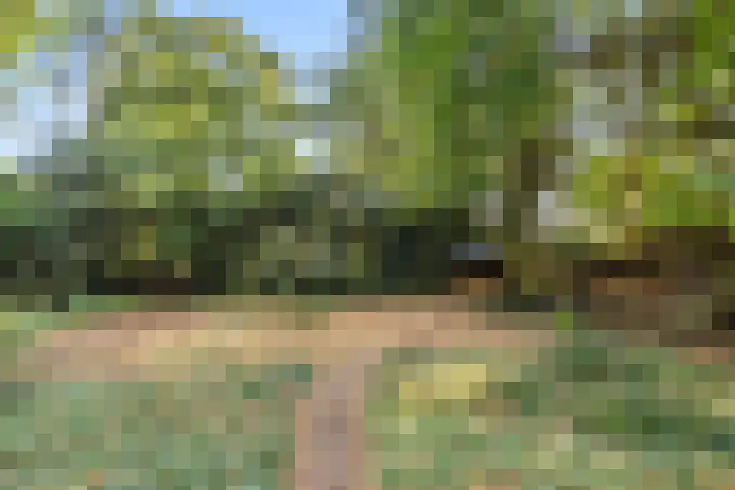 Bovenweg 17 Bennekom thumbnail 43
