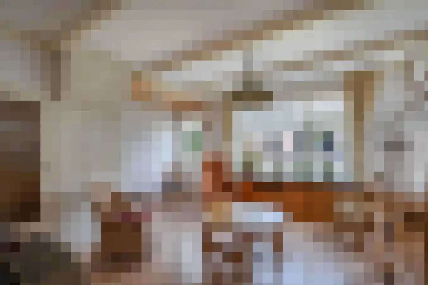 Bovenweg 22 Sint Pancras thumbnail 13