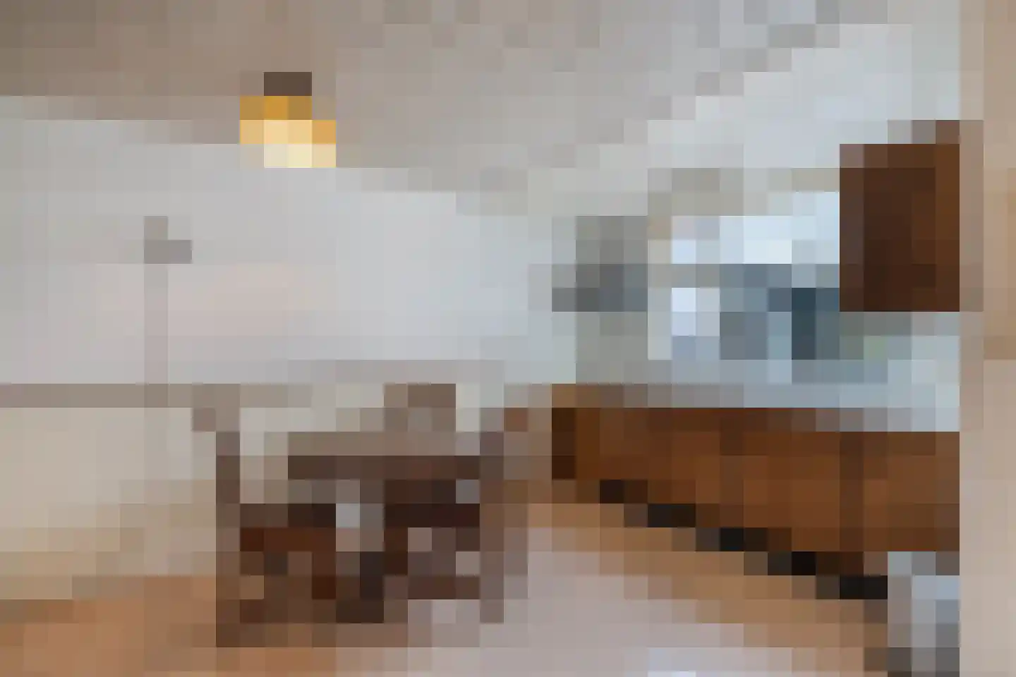 Bovenweg 22 Sint Pancras thumbnail 14