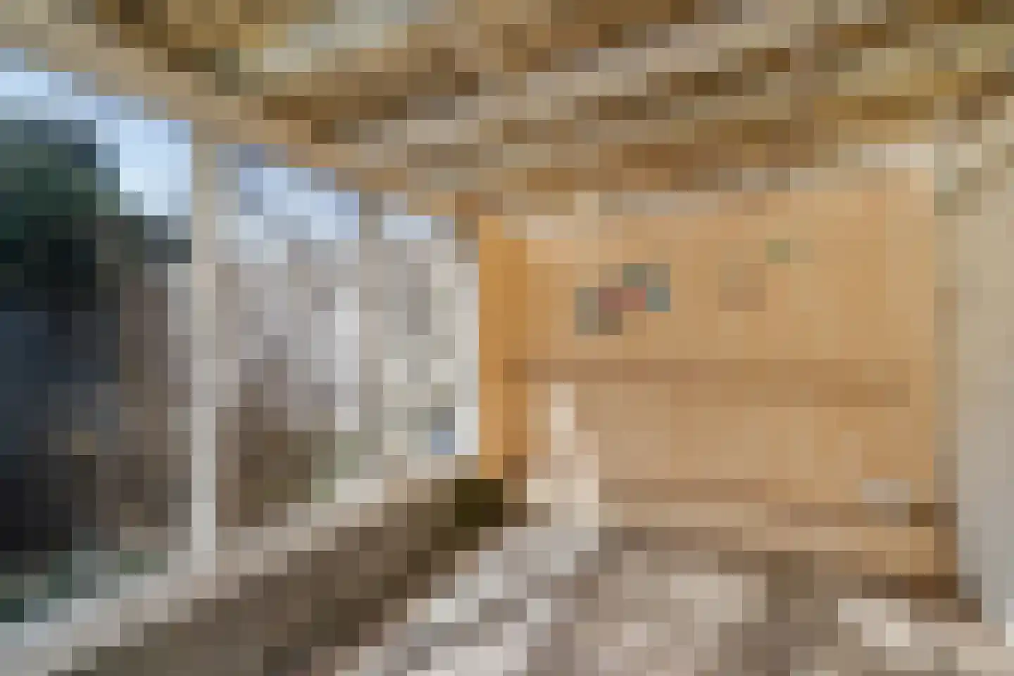 Bovenweg 22 Sint Pancras thumbnail 22