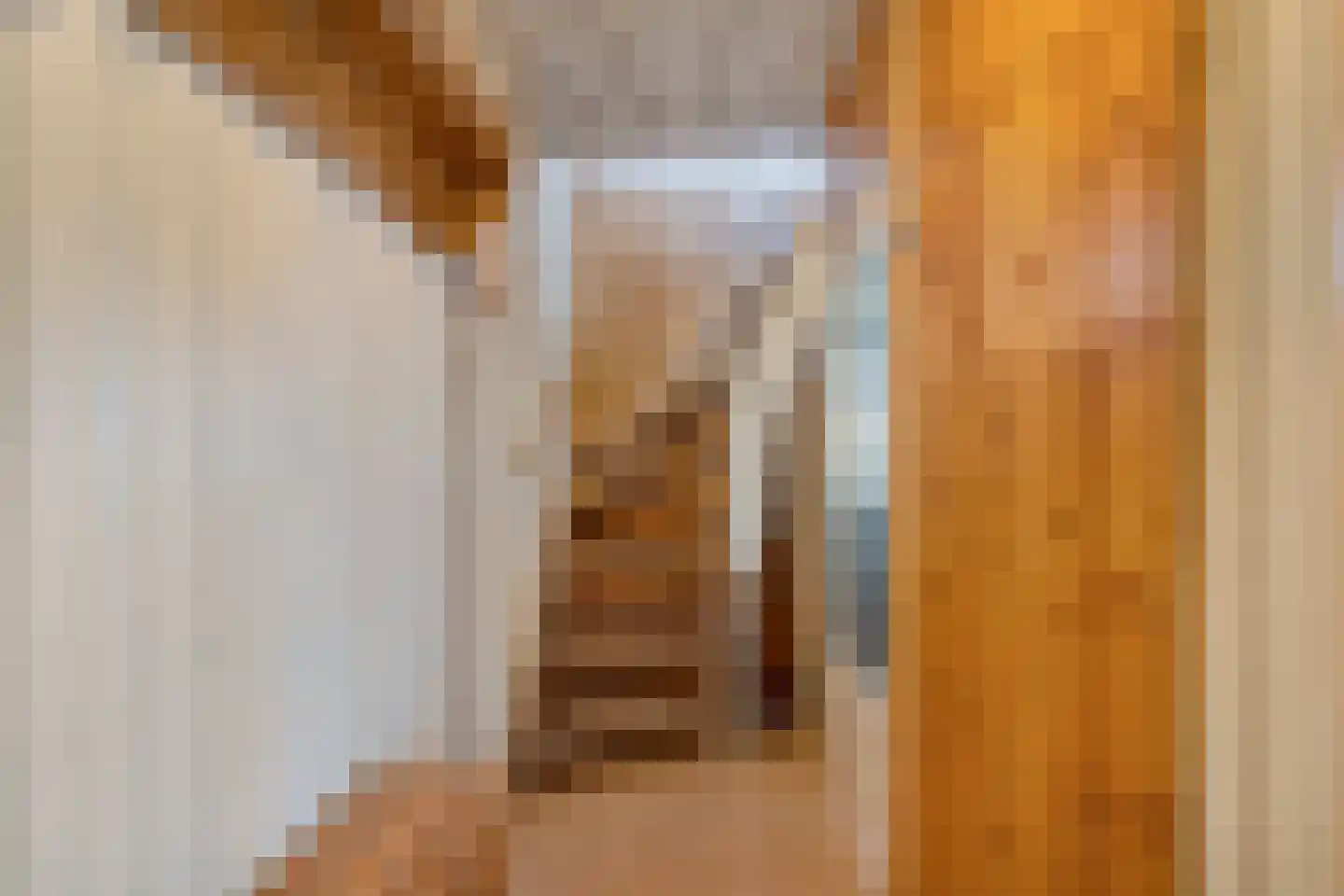 Bovenweg 22 Sint Pancras thumbnail 25