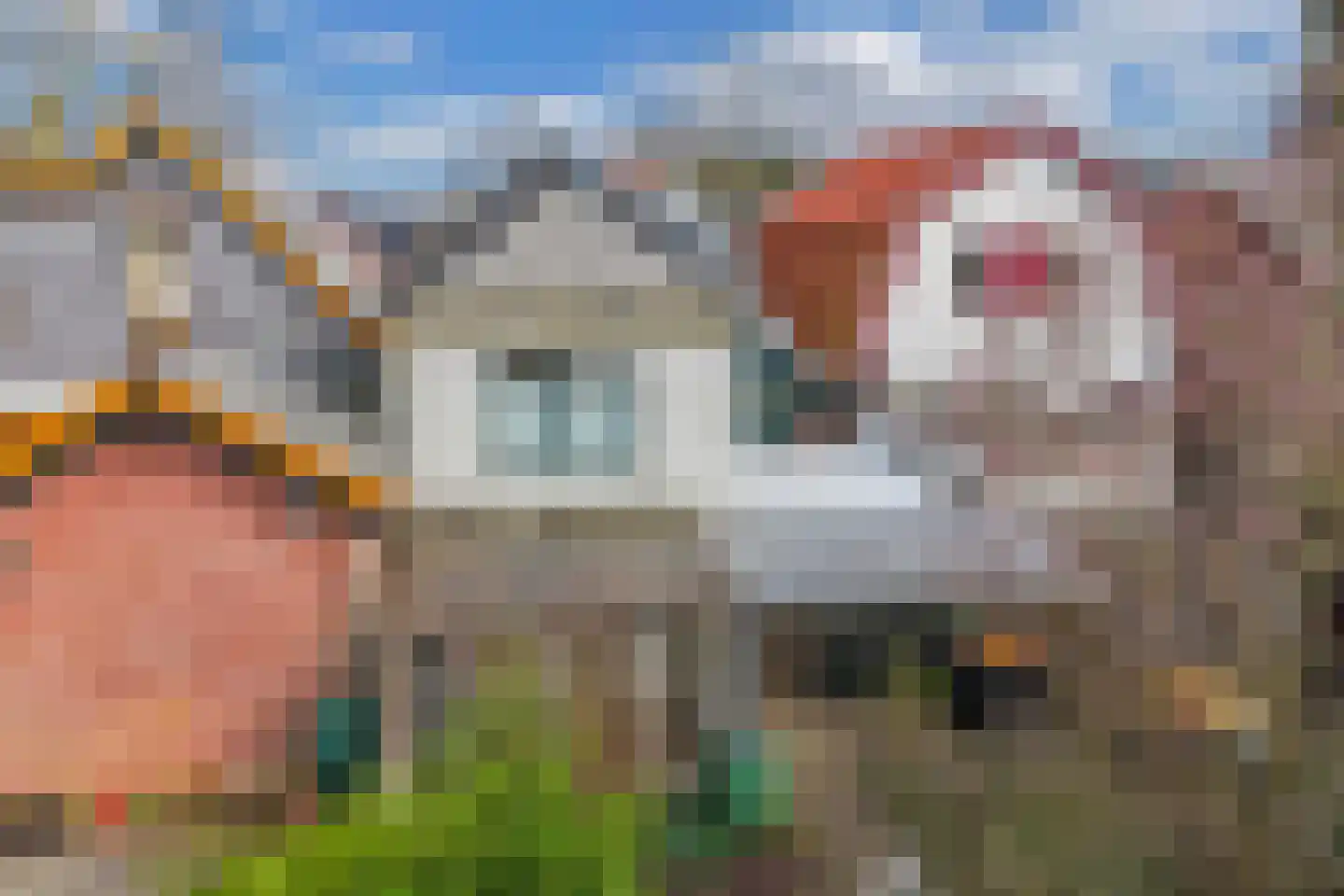 Bovenweg 22 Sint Pancras thumbnail 38