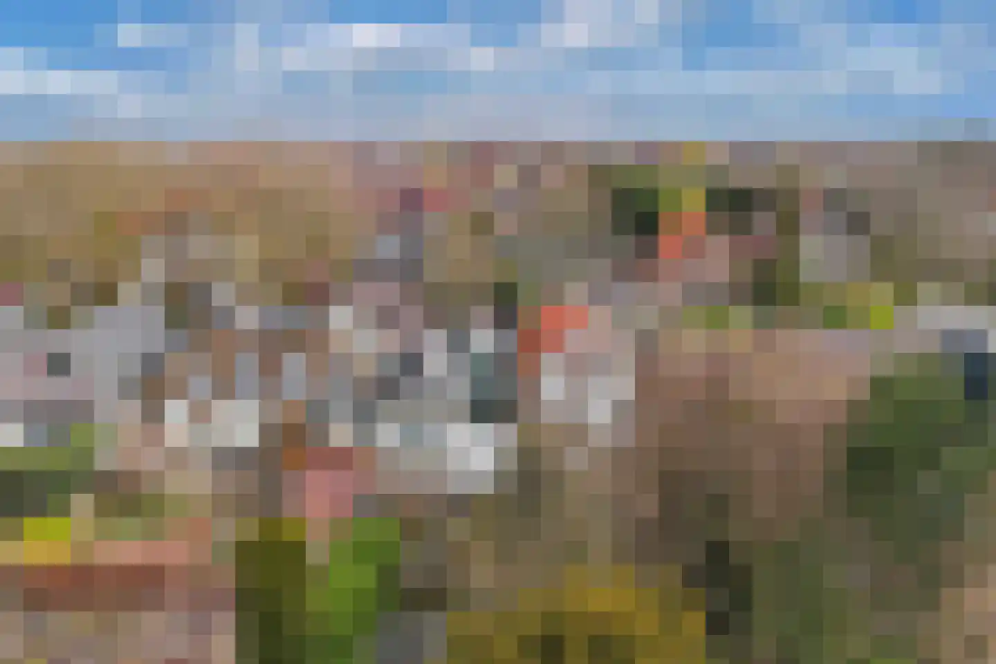 Bovenweg 22 Sint Pancras thumbnail 42