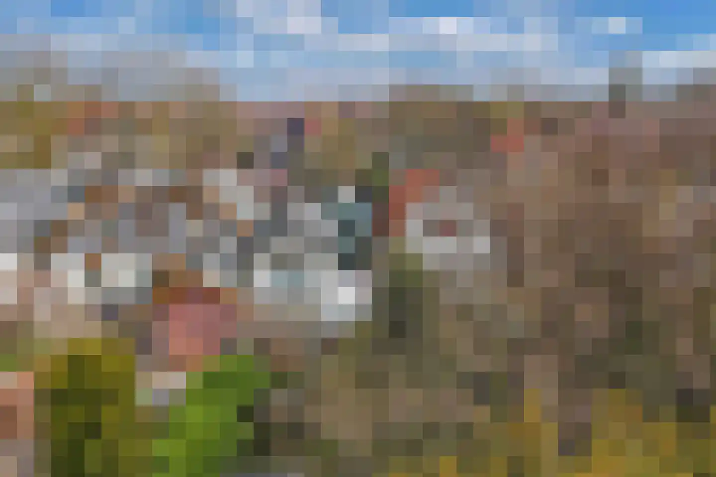 Bovenweg 22 Sint Pancras thumbnail 46