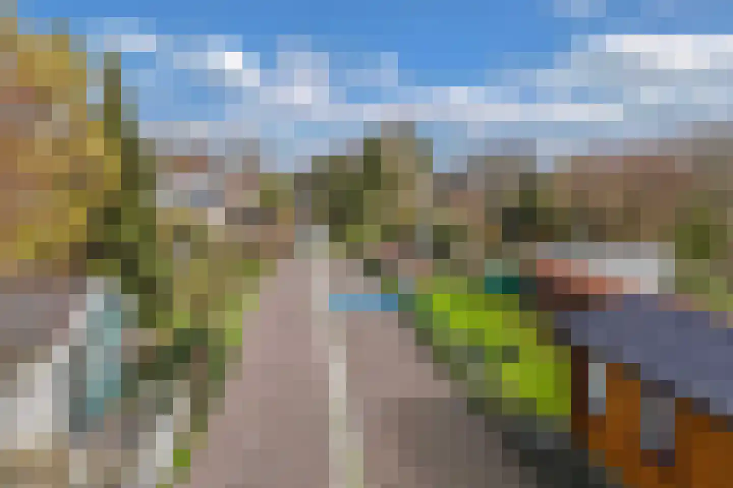 Bovenweg 22 Sint Pancras thumbnail 48
