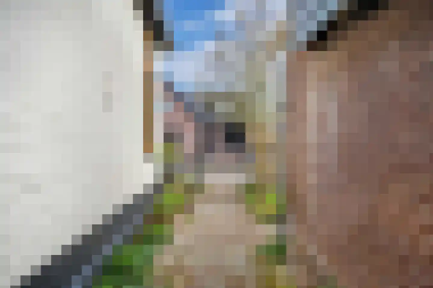 Bovenweg 22 Sint Pancras thumbnail 5