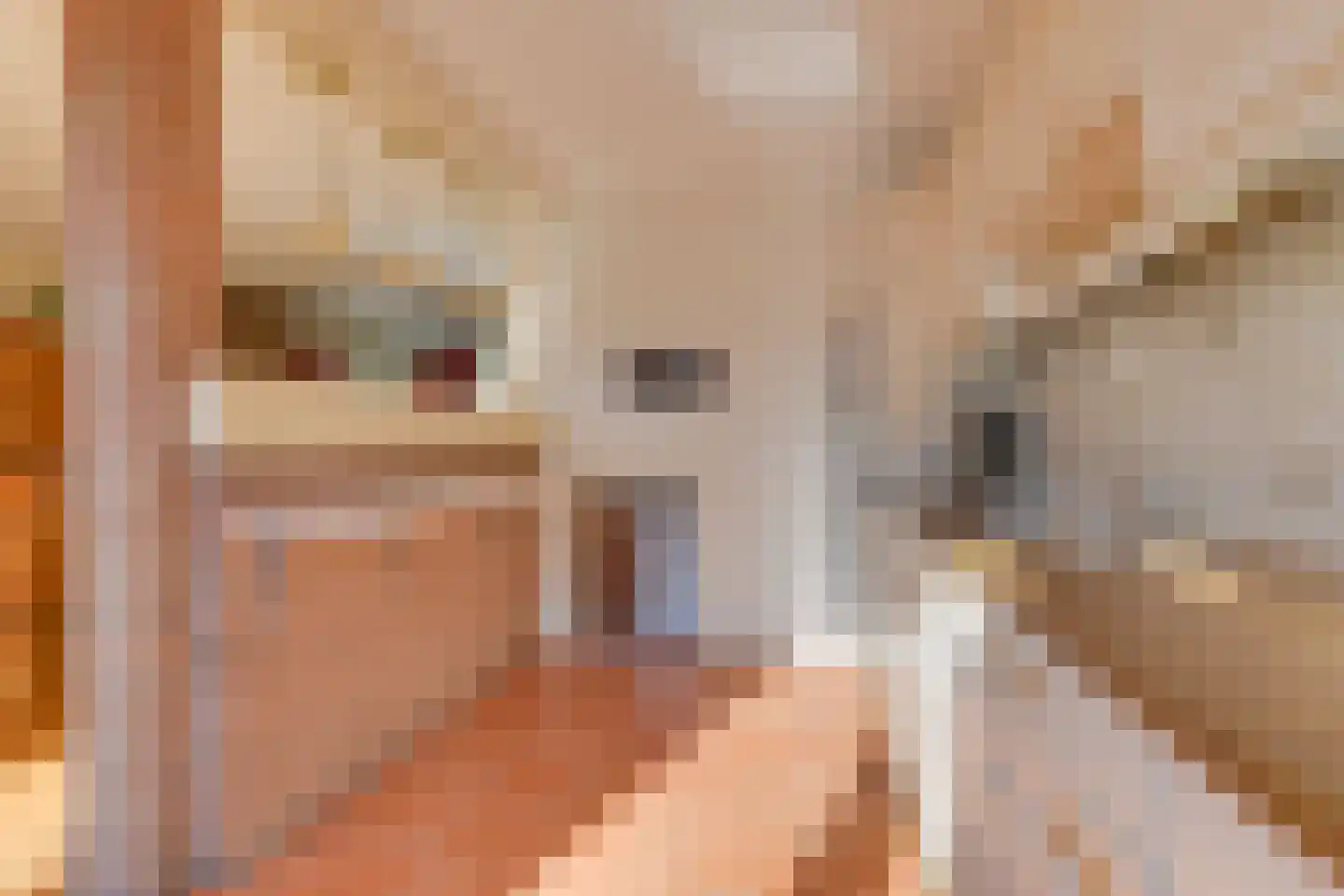 Bovenweg 225 Sint Pancras thumbnail 17