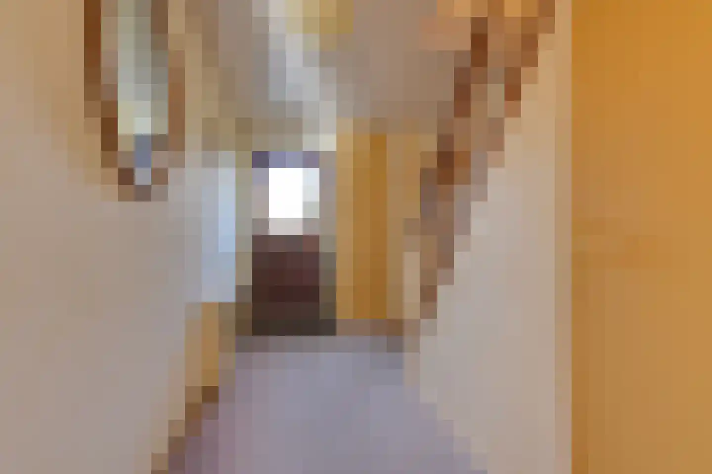 Bovenweg 225 Sint Pancras thumbnail 7