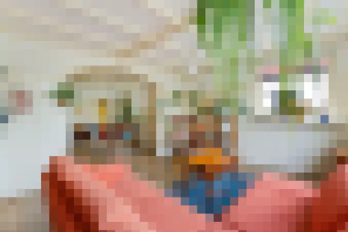 Bovenweg 229 Sint Pancras thumbnail 6