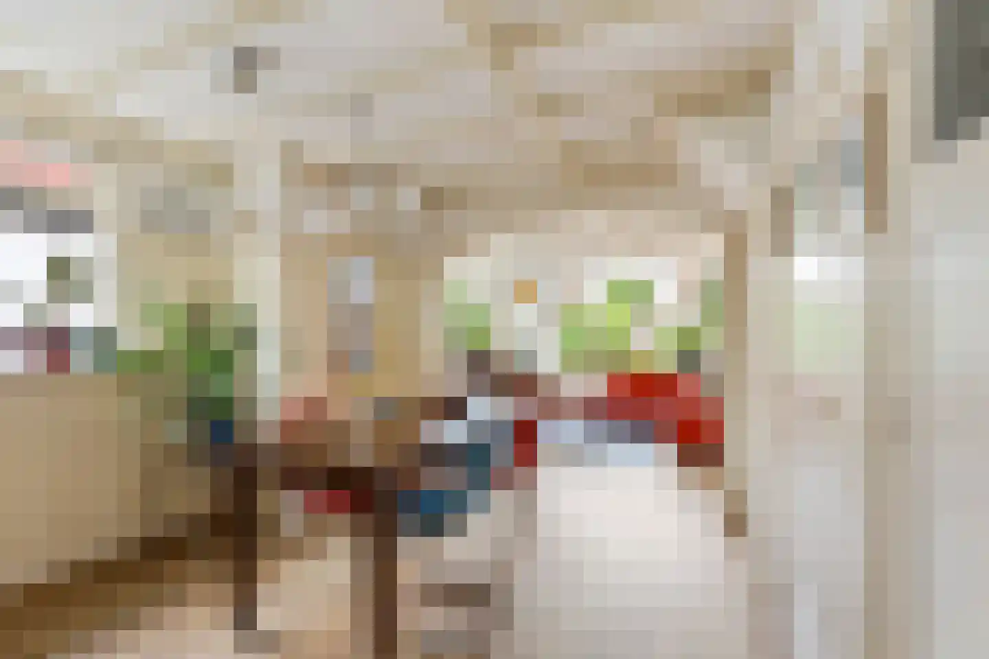 Bovenweg 229 Sint Pancras thumbnail 9
