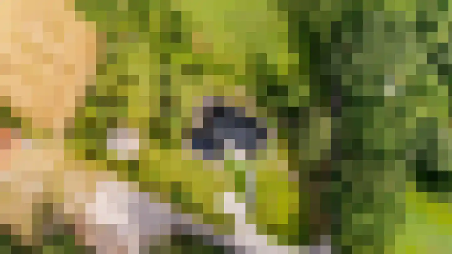 Bovenweg 3 Donkerbroek thumbnail 10