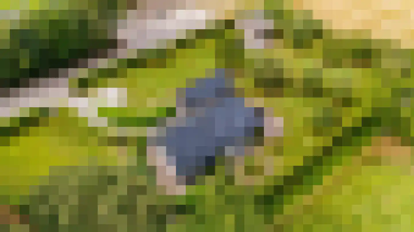 Bovenweg 3 Donkerbroek thumbnail 11