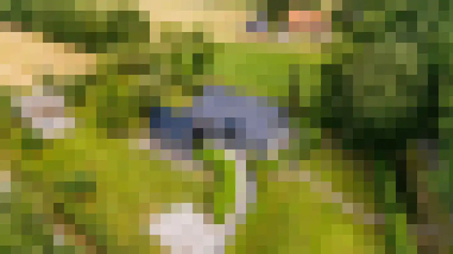 Bovenweg 3 Donkerbroek thumbnail 12