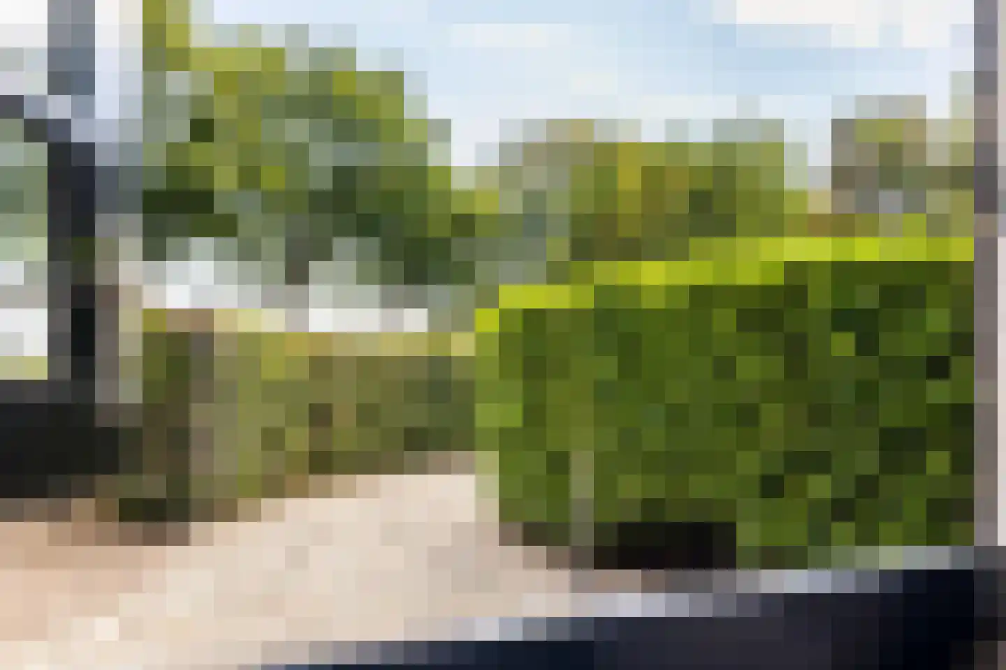 Bovenweg 3 Donkerbroek thumbnail 17