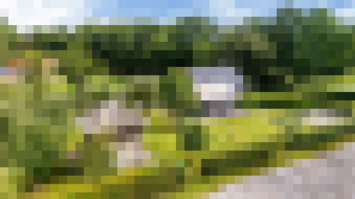 Bovenweg 3 Donkerbroek thumbnail 4