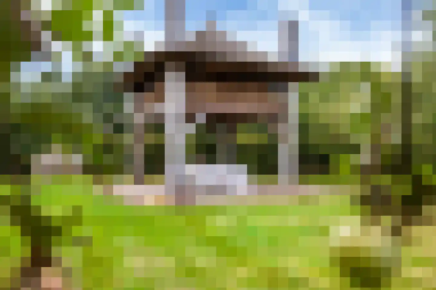 Bovenweg 3 Donkerbroek thumbnail 5