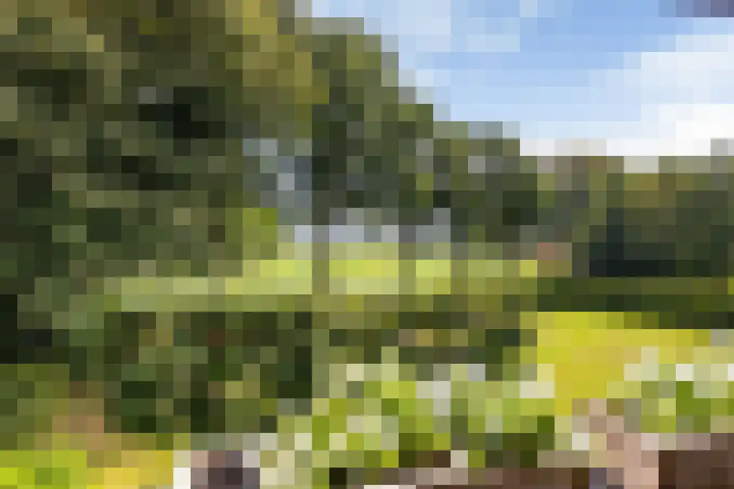 Bovenweg 3 Donkerbroek thumbnail 52