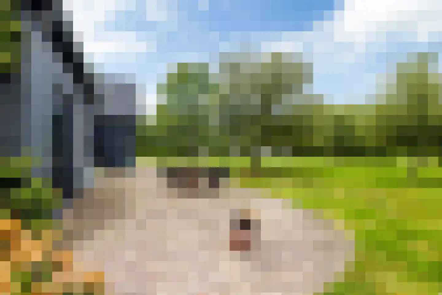 Bovenweg 3 Donkerbroek thumbnail 60