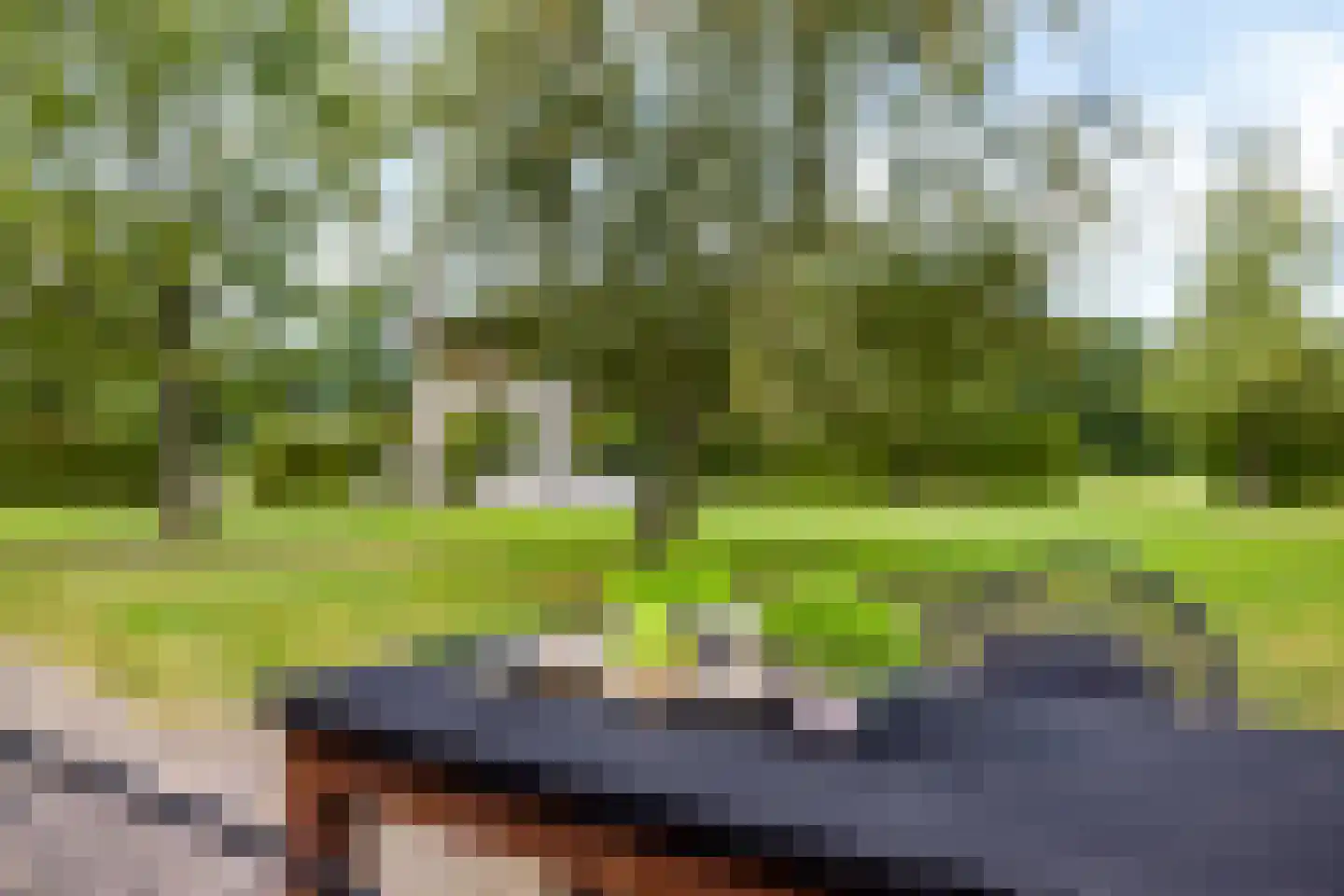 Bovenweg 3 Donkerbroek thumbnail 61