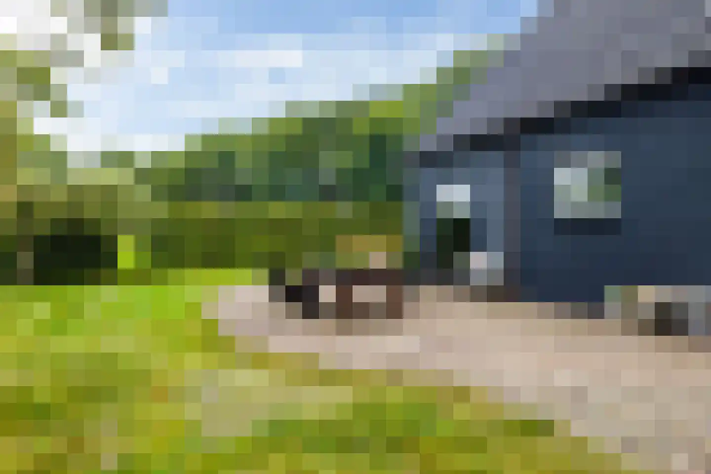 Bovenweg 3 Donkerbroek thumbnail 63