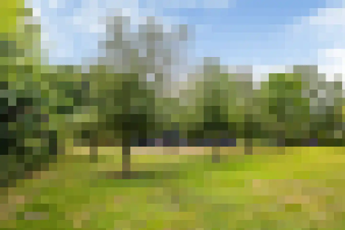 Bovenweg 3 Donkerbroek thumbnail 65