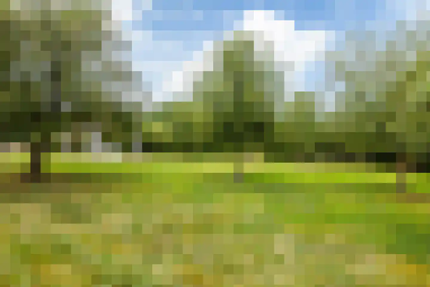 Bovenweg 3 Donkerbroek thumbnail 66