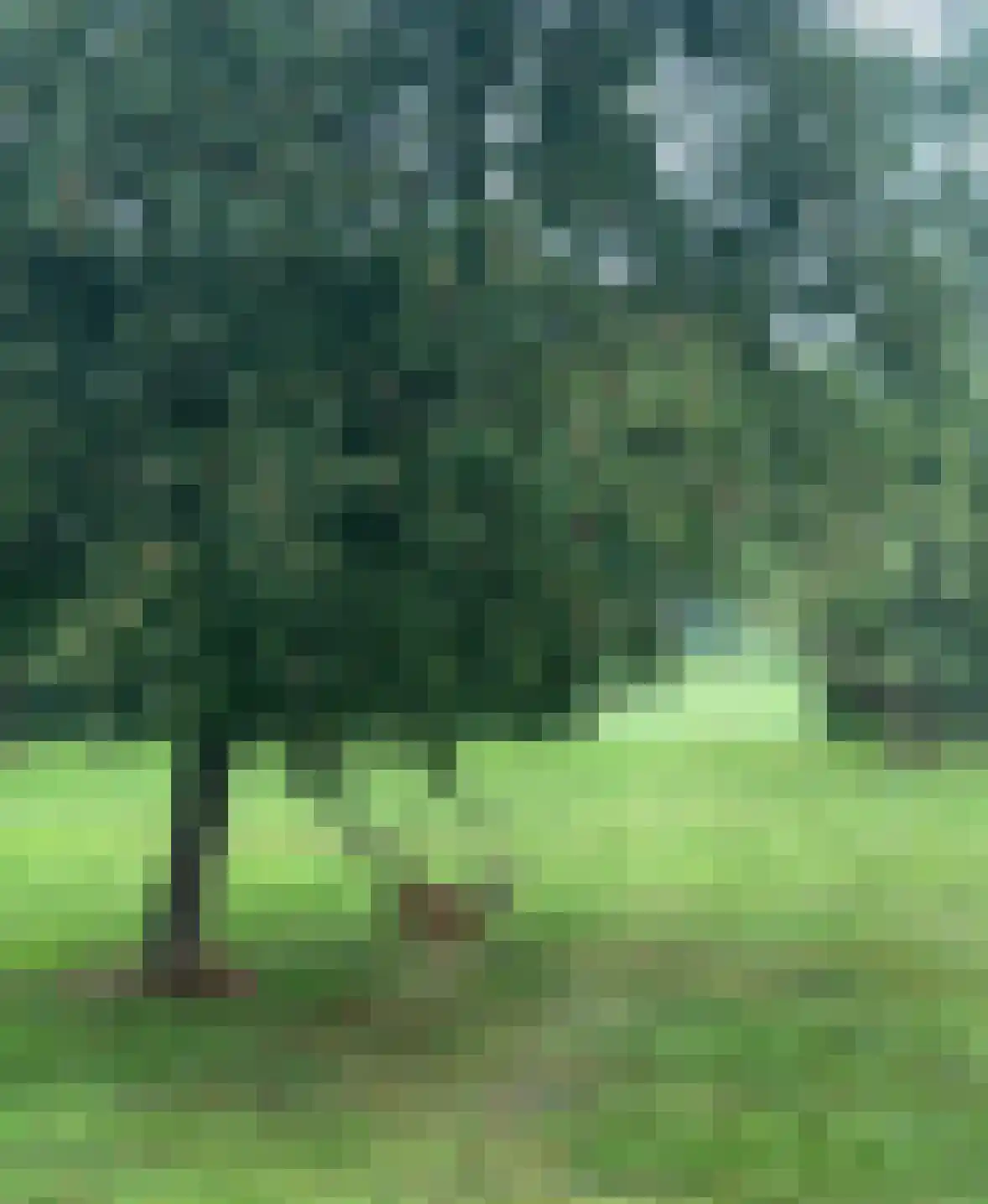 Bovenweg 3 Donkerbroek thumbnail 67