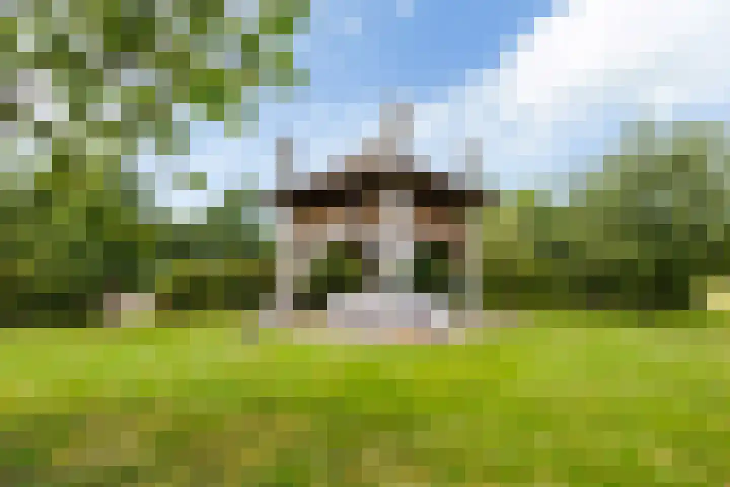 Bovenweg 3 Donkerbroek thumbnail 69