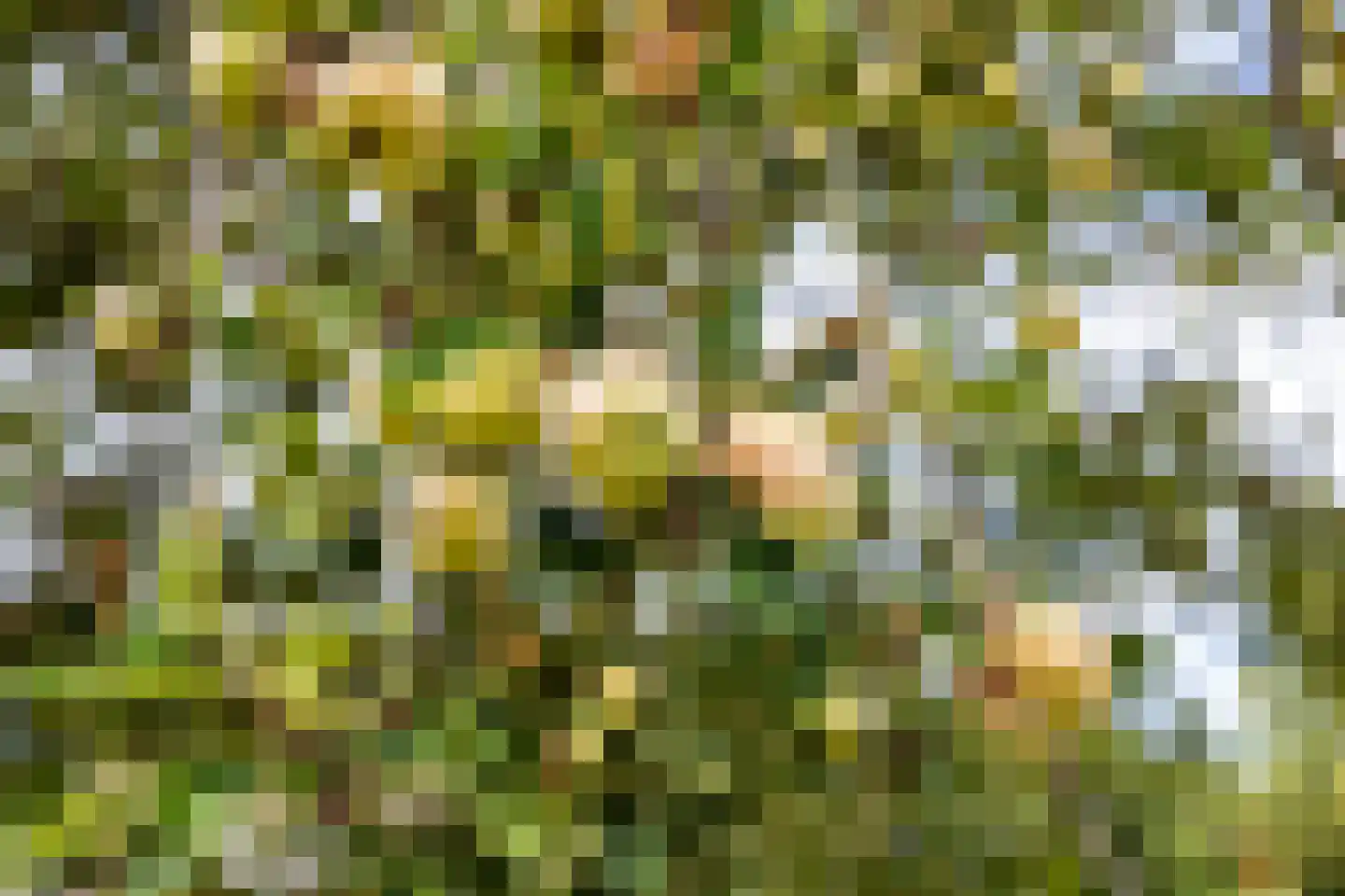 Bovenweg 3 Donkerbroek thumbnail 72
