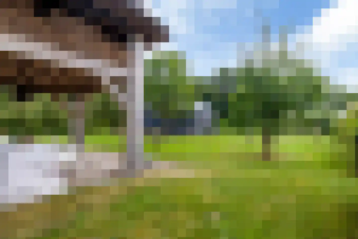 Bovenweg 3 Donkerbroek thumbnail 74