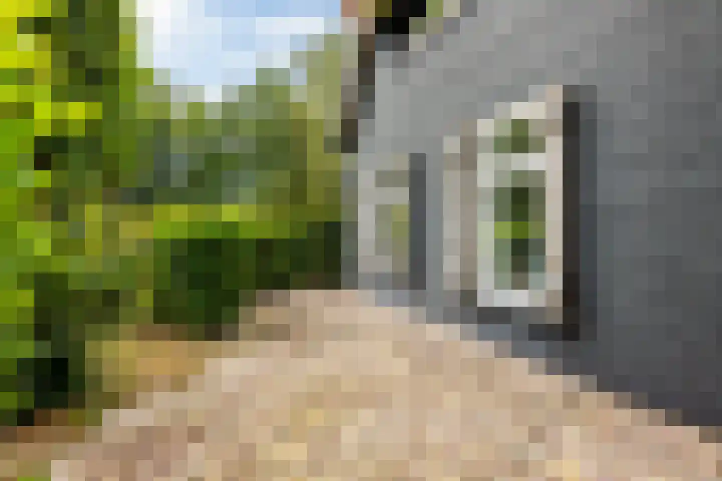 Bovenweg 3 Donkerbroek thumbnail 82