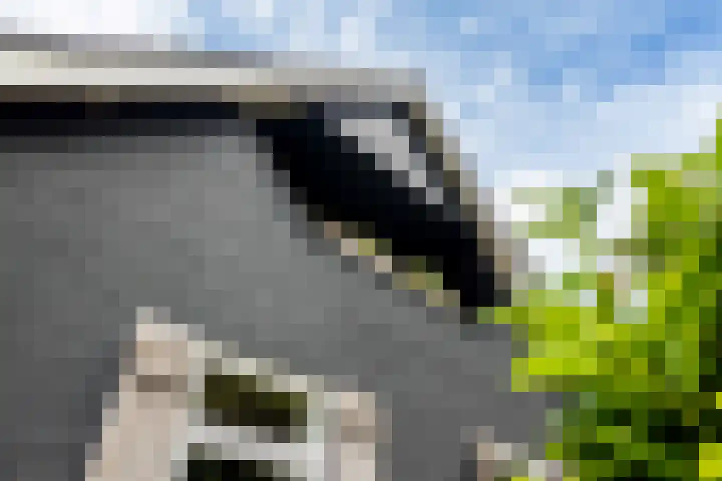 Bovenweg 3 Donkerbroek thumbnail 83
