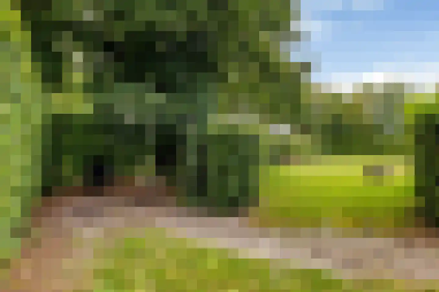 Bovenweg 3 Donkerbroek thumbnail 84