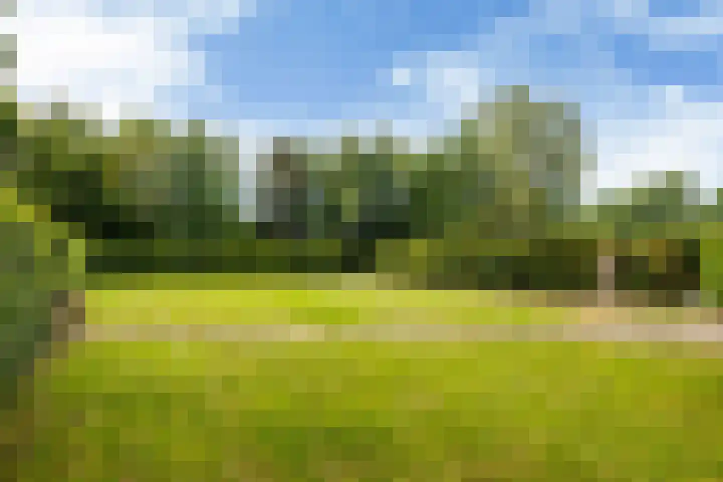 Bovenweg 3 Donkerbroek thumbnail 85