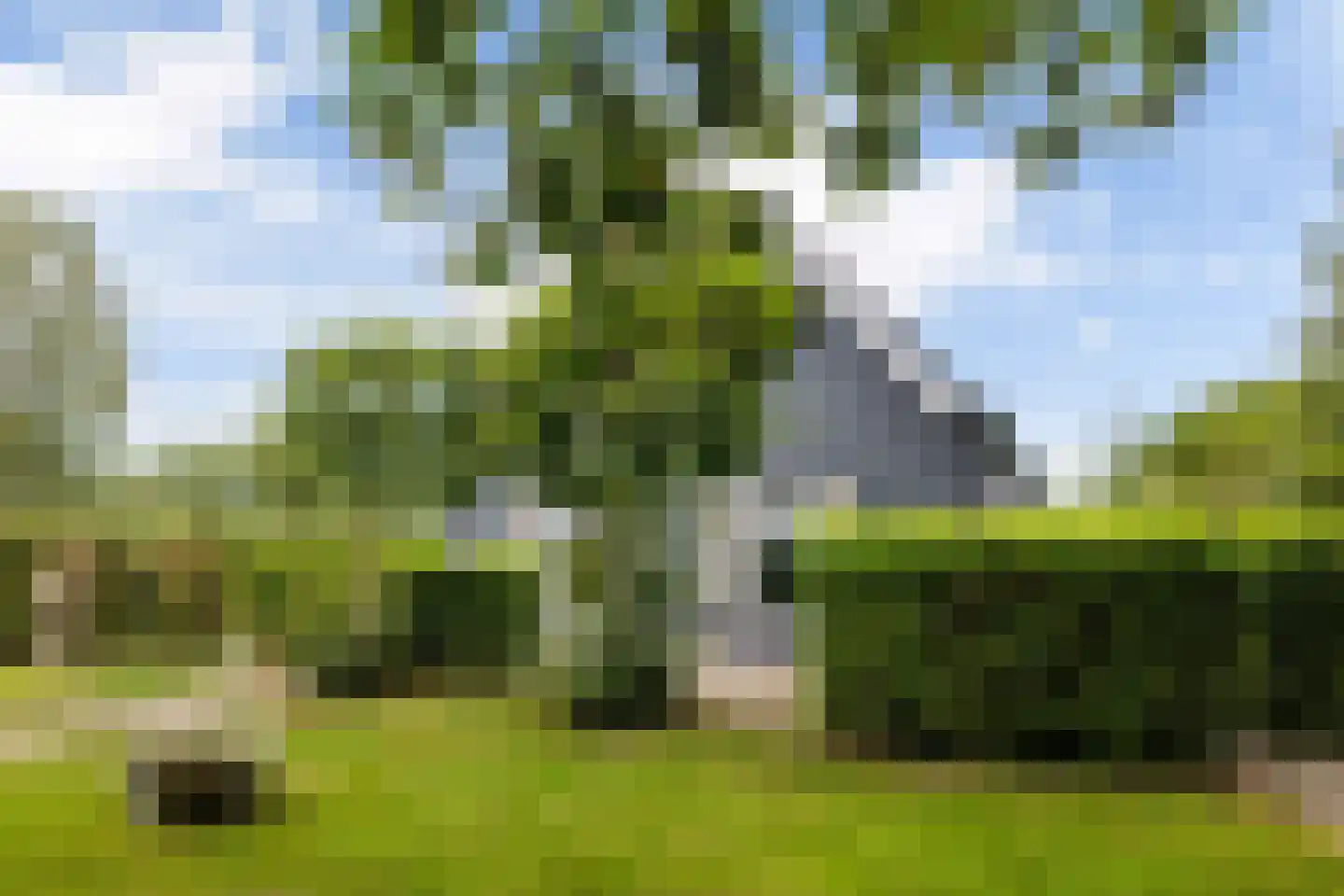 Bovenweg 3 Donkerbroek thumbnail 86